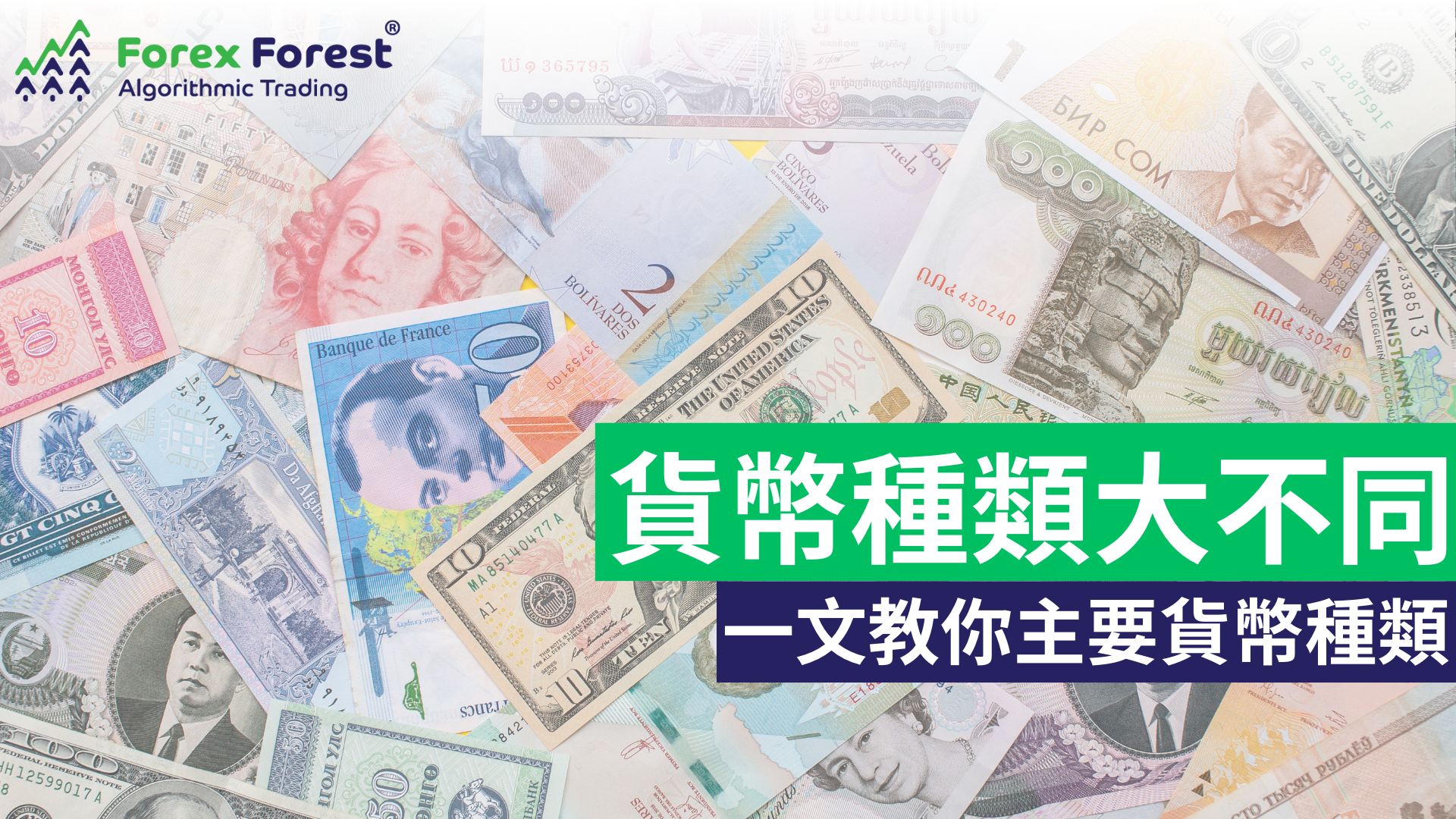 主要貨幣都有甚麼？如何分類貨幣的種類？